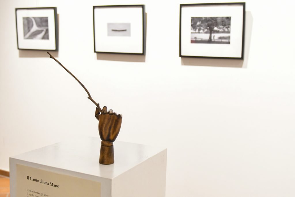 ©La natura della memoria\Dovile Dagiene\Palazzo Pirola 2024\exhibitionlayout room 3