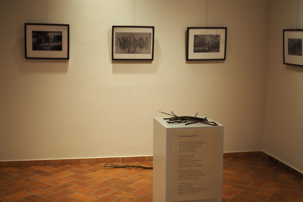 ©La natura della memoria\Dovile Dagiene\Palazzo Pirola 2024\exhibitionlayout room 2